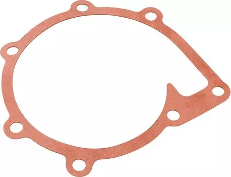 Прокладка помпы Volvo Penta, Recmar 859027_RM