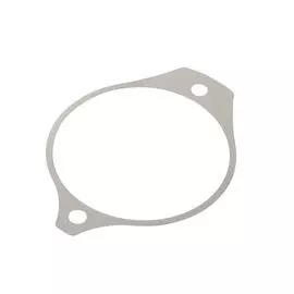 Прокладка регулировочная 0,25 VP 3875231