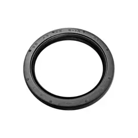 Сальник 43x55x6, 9310243M4200