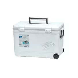 Термобокс SHINWA Holiday Land Cooler 33H белый 060217
