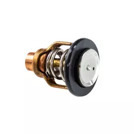 Термостат Suzuki DF350A (55C) 1767098L00000