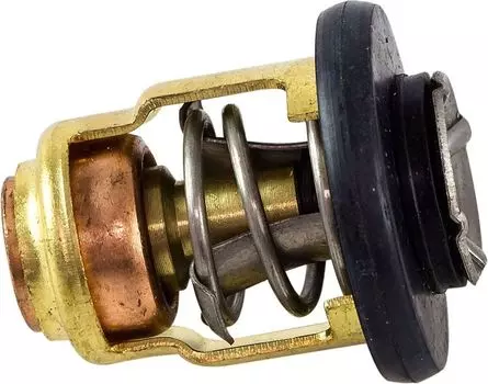 Термостат Yamaha 60-70, Recmar 6H31241111_RM