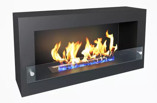 Биокамин ZEFIRE