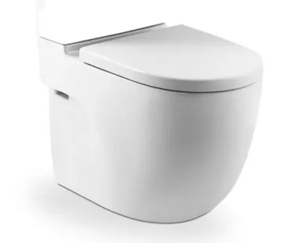 Чаша унитаза ROCA