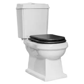 Чаша унитаза CEZARES