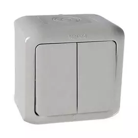 Двухклавишный выключатель 10AX - 250 В~ - Quteo IP 44 - Серый