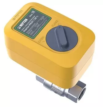 Кран шаровый с электроприводом Neptun Profi 1/2" В-В, 220 В, нержавеющая сталь