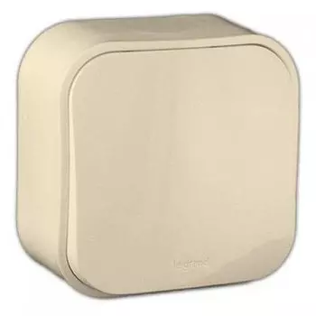Переключатель на 2 направления 10AX - Quteo IP 20 - 250 B~ - Слоновая кость