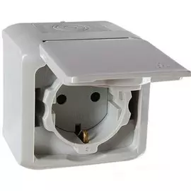 Розетка 2К+З с защитными шторками - 16 A - 250 В~ - Quteo IP 44 - Серый