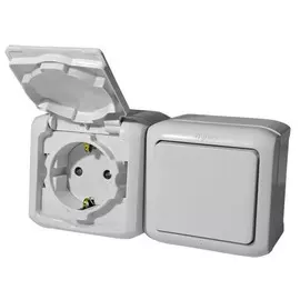 Розетки 2 х 2К+З с защитными шторками - 16 A - 250 В~ - Quteo IP 44 - Серый