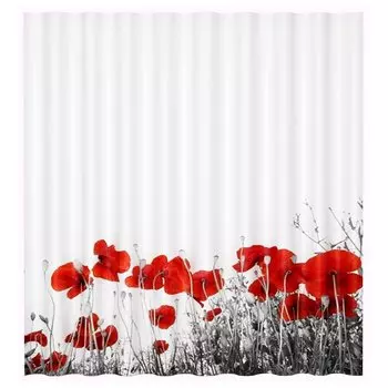 Шторка для ванной WasserKRAFT