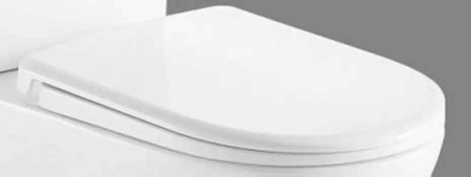Сиденье для унитаза BELBAGNO