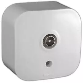 Телевизионная розетка - Quteo IP 20 - Белый