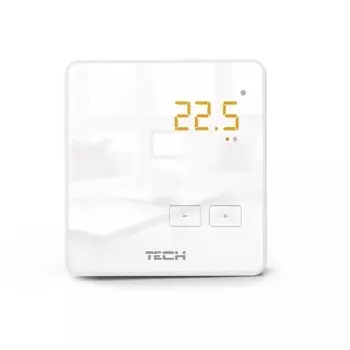 Терморегулятор TECH