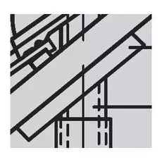 Универсальные защитные диафрагмы 60/100 VIESSMANN