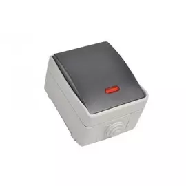 Выключатель одноклавишный со свет. индикатором для открытой установки ВС20-1-1-ФСр ФОРС IP54 IEK