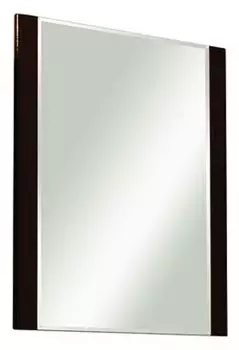 Зеркало Акватон 1.A140.1.02A.A95.0 Ария 50 черный глянец