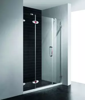 Душевая дверь RGW SA-01 190x195 распашная