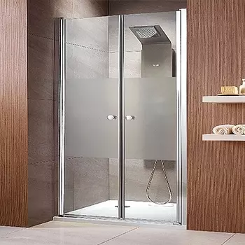 Душевая дверь в нишу Radaway EOS DWD 120 интимато