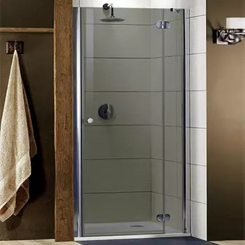 Душевая дверь в нишу Radaway Torrenta DWJ 90 стекло графит R