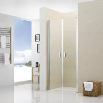 Душевая дверь в нишу RGW Leipzig LE-05 1200х1950