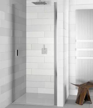 Душевая дверь в нишу Riho Nautic N101 GGB0605802 100 см, R