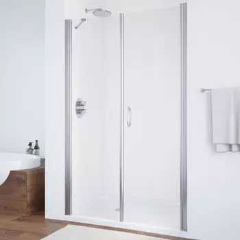 Душевая дверь в нишу Vegas Glass EP-F-2 100 08 01 R профиль глянцевый хром, стекло прозрачное