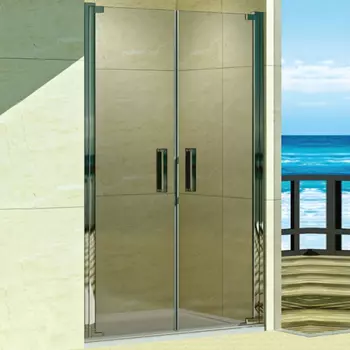 Душевая дверь в нишу Weltwasser WW600 600K2-80