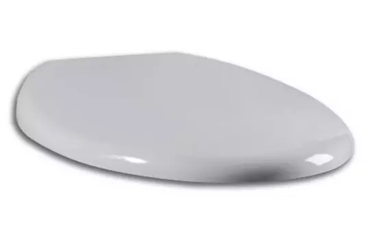 Крышка-сиденье Am.Pm Bliss с микролифтом, петли хром