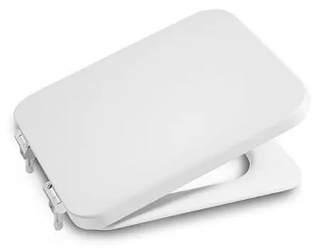 Крышка-сиденье Roca Element 801572004 с микролифтом, петли хром