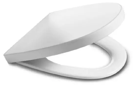 Крышка-сиденье Roca Khroma 801652004 белая, с микролифтом, петли хром