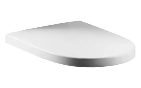 Крышка-сиденье Roca Meridian 8012AC004 с микролифтом, петли хром