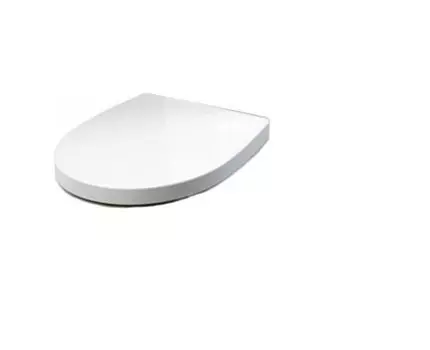 Крышка-сиденье Roca Victoria Nord ZRU9000024 с микролифтом, петли хром