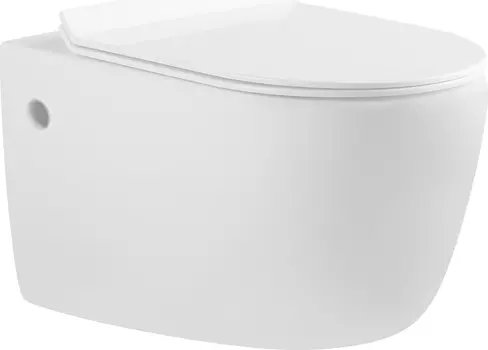 Унитаз подвесной Aquanet Cetus BL-102N-WHT