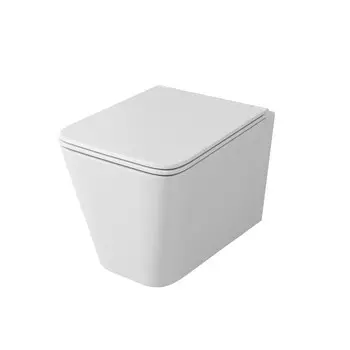 Унитаз подвесной безободковый OWL Vatter Ruta-H с сиденьем DP микролифт (OWLT190401)