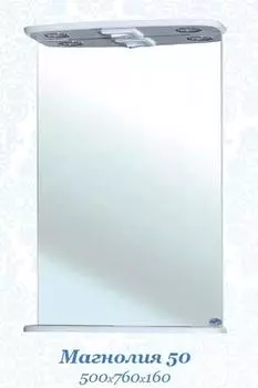 Зеркало Bellezza Магнолия 50