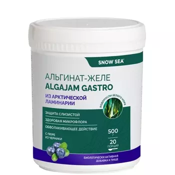 Альгинат-желе из арктической ламинарии с черникой ALGAJAM GASTRO SNOW SEA® для ЖКТ БАД, 500 г