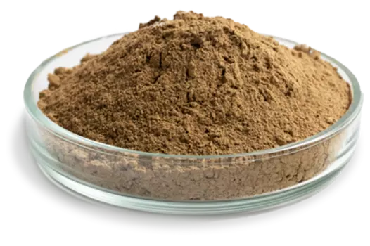 Маска из микронизированного фукуса для тела ЖИВЫЕ ВОДОРОСЛИ, 5 кг