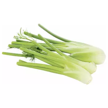 Фенхель Metro Chef 350 гр