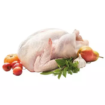 Индейка тушка (Ферма Е.Кузыка) 3.5-4.5 кг