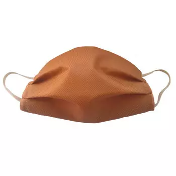 Маски защитные 2х-слойные бежевые одноразовые 10 шт