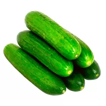 Огурцы гладкие 1 кг