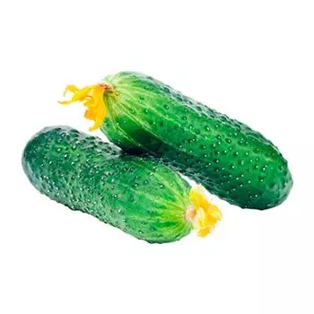 Огурцы короткоплодные 1 кг