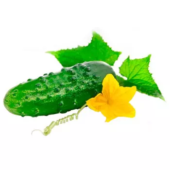 Огурцы среднеплодные 1 кг