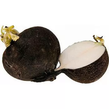 Редька черная 1 кг