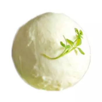 Сыр Моцарелла 24% (Ферма Боков А.) 0,2-0,4 гр