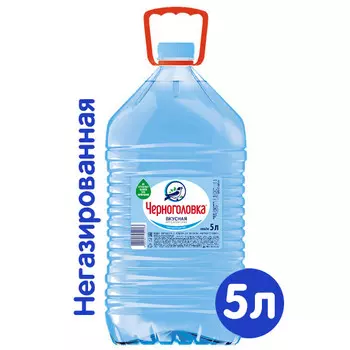 Вода Черноголовка 5 литров, 2 шт. в уп.