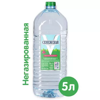 Вода питьевая Сенежская 5 литров, 2 шт. в уп.