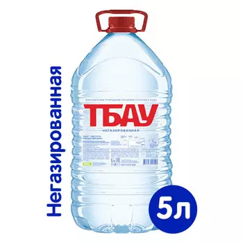 Вода Тбау 5 литров, 2 шт. в уп.