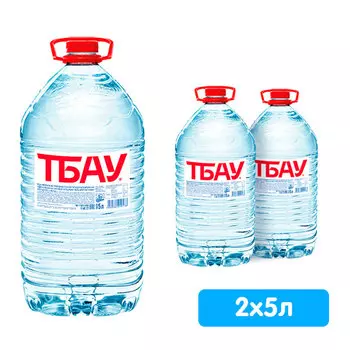 Вода Тбау 5 литров, 2 шт. в уп.